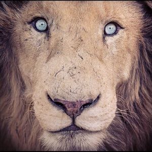 Meet your Posher, Suzanne